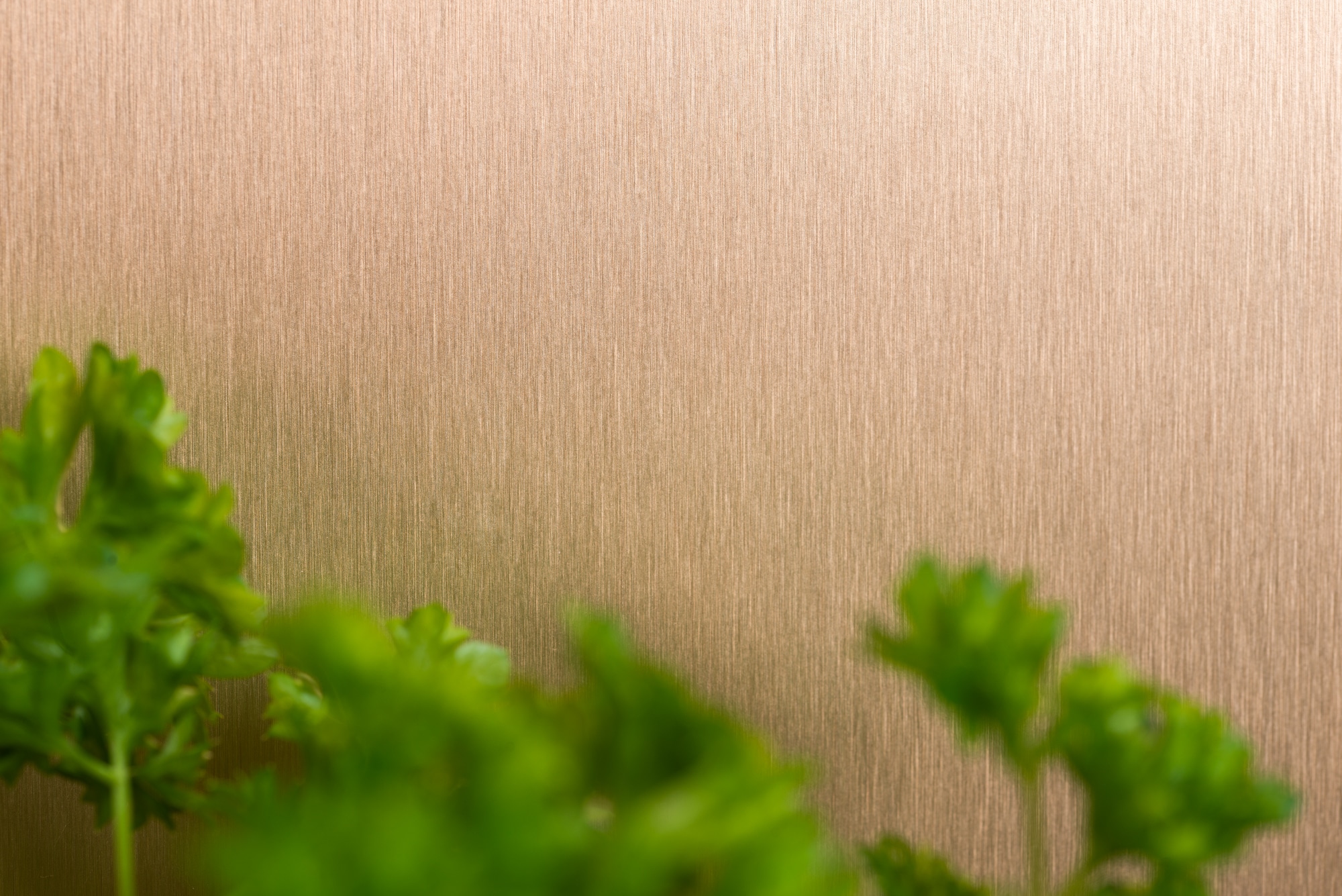 Kitchen Board Wall Panels For Kitchens Fibo